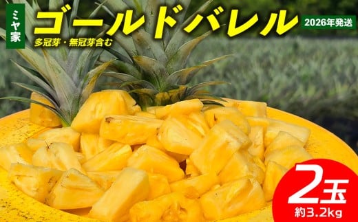 ミヤ家　ゴールドバレル　2玉（約3.2kg）多冠芽・無冠芽含む 2026年発送 沖縄県産 東村 パイナップル ジューシー 希少 高級フルーツ 南国フルーツ 国産フルーツ 農家直送 パイン ゴールドバレル 贈り物 おすすめ お土産 人気 やんばる 大自然 南国気分 沖縄本島北部 2388453 - 沖縄県東村