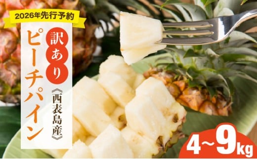 【選べる内容量】<訳あり!>2026年 先行予約 大きさ不揃い お得!箱にいっぱいピーチパイン4kg/9kgセット