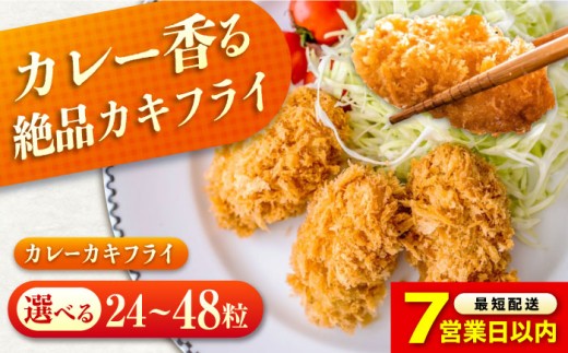 【スピード発送】【選べる容量】 カキフライ 冷凍 カキフライ  (カレー)  広島県産 冷凍カキフライ 広島牡蠣 牡蠣 かき カキ  料理 簡単 魚介類 海鮮 ギフト 広島県産 瀬戸内海 海の幸 特産品 産地直送 お取り寄せ 贈り物 ギフト 贈答品 絶品  人気 おすすめ おいしい 冷凍 カキフライ 牡蠣 魚介類 海鮮 贈答 グルメ お取り寄せ 広島県福山市/クニヒロ株式会社 [BACG004]