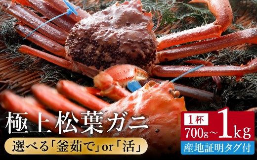 【kinosaki spa&gardens 湯楽使用】タグつき選べる松葉ガニ 釜茹で or 活、700g or 800g or 900g or 1kg