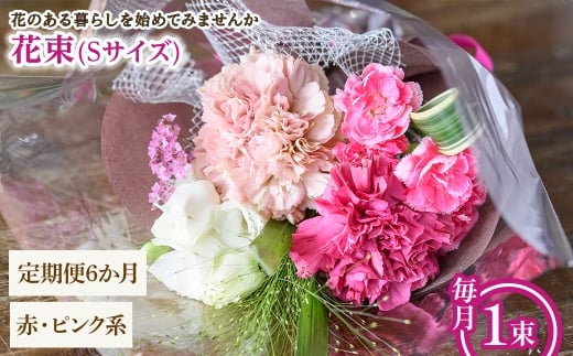 花束(Sサイズ・赤ピンク系・6ヶ月・毎月1束) 【m56-05-SA6】【Porte-Bonheur】