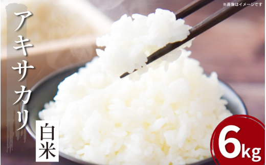 令和7年産 米 白米 6kg （ 2kg × 3袋 ） アキサカリ 令和7年度産 新米 1袋2kg 小分け お米 こめ 白米 精米 ごはん ご飯 白飯 ゴハン コメ 吉野川 徳島県 吉野川市
