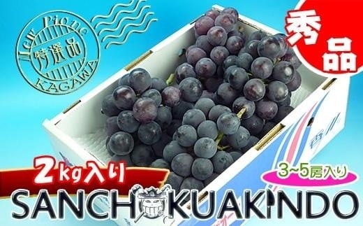 《2026年発送》ニューピオーネ 秀品 2kg ( 約3 ~ 5房 )  ｜ぶどう 香川産 人気品種