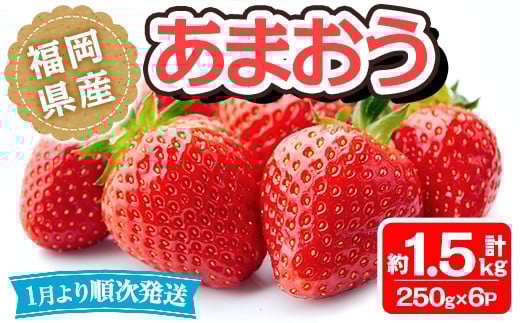 ＜先行予約受付中！2026年1月より順次発送予定＞福岡県産 あまおう(計約1.5kg・250g×6P)いちご 苺 フルーツ 果物 くだもの 冷蔵 ＜離島配送不可＞【ksg1806】【エフビーネット】