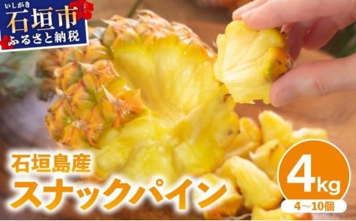 【2026年4月中旬発送】訳あり 石垣島産 スナックパイン 約4kg（4～10個）KP-01 | ふるさと納税 パイナップル 産地直送 フルーツ 果物 パイン 石垣 沖縄 沖縄県石垣市 石垣島 2330920 - 沖縄県石垣市