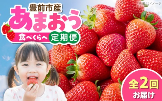 【全2回定期便】あまおう2種食べ比べ返礼品 4万円コース 《豊前市》【豊前市定期便】 [VZZ026]