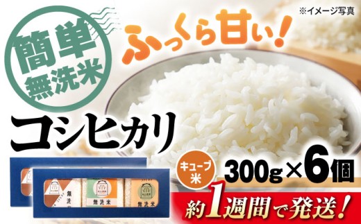 コシヒカリ 無洗米 キューブ 2合 コシヒカリ こしひかり 無洗米 真空パック 米 お米 小分け 魚のゆりかご水田 おすすめ