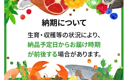 群馬県沼田市のふるさと納税 【白米】《定期便3回》令和7年産 真田のコシヒカリ小松姫 2kg×1袋 金井農園