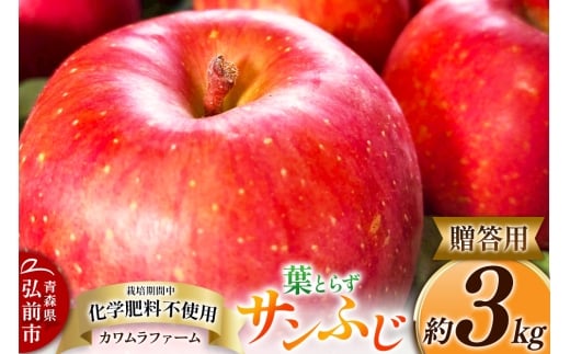 りんご 葉とらず サンふじ 約3kg カワムラファーム 贈答用 青森 果物 フルーツ 林檎 リンゴ くだもの