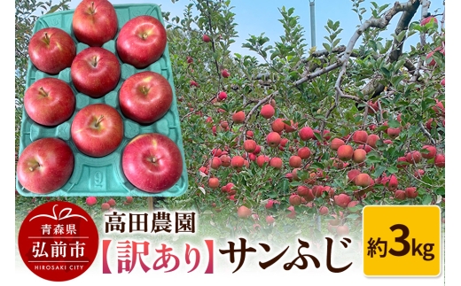 りんご【訳あり】サンふじ 約3kg  弘前市産 青森りんご
