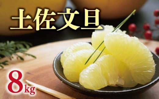 数量限定 先行予約 土佐 文旦 8kg 訳あり 10000円 / 通常品 Lサイズ 2Lサイズ 3Lサイズ 以上 14000円 ぶんたん みかん mikan 蜜柑 ミカン 土佐文旦 家庭用 産地直送 国産 農家直送 期間限定 特産品 ゼリー ジュース アイス 等に 人気 限定 甘い 果実 果肉 フルーツ 果物 柑橘 美味しい おいしい ジューシー サイズ ミックス くらもとファーム 愛南町 愛媛県