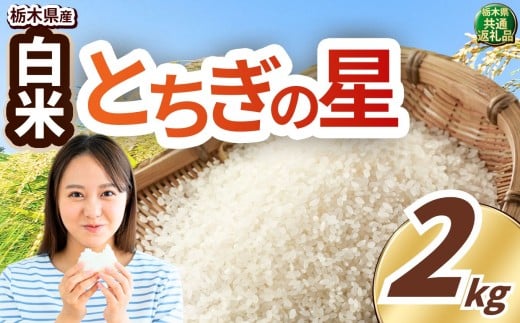 いちご農家さん応援米！ 訳あり 令和7年度産 白米 約2kg とちぎの星 | 真岡市産 米 お米 こめ 白米 ご飯 ごはん 大粒 とちぎのほし 限定 ふるさと納税 先行 予約 栃木県 真岡市 送料無料
