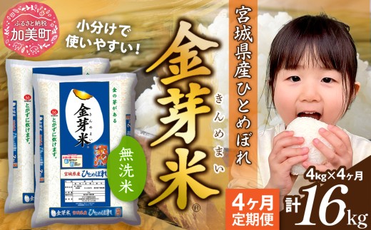 無洗米【 定期便 4回 】米  金芽米 令和7年 宮城県産 ひとめぼれ 計 16kg ( 4kg × 4ヶ月 )  [ 宮城県 加美町 ]   km-my-knm04-t4-r7 2406522 - 宮城県加美町