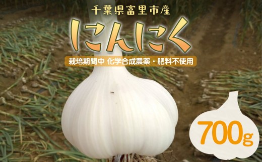 にんにく 700ｇ 栽培期間中 化学合成農薬・化学合成肥料不使用 TMAE003 / 【ふるさと納税 人気 にんにく ニンニク スタミナ 薬味 料理 元気 疲労回復 免疫力 野菜 千葉県 富里市 送料無料 】