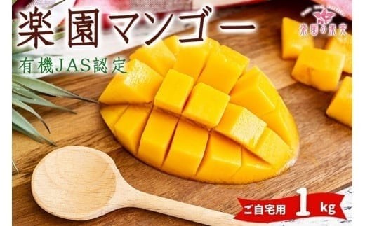 DQ017《先行予約》2026年発送 有機JAS認証マンゴー（アーウィン）ご自宅用 1kg【楽園の果実】