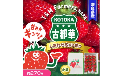 いちご　古都華・ことか 1パック(8～15粒入り)【1605677】