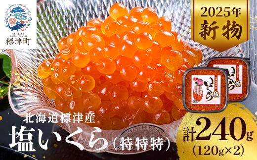 ＜令和7年新物＞塩いくら120g×2パック 塩漬け イクラ 北海道 人気 おすすめ 小分け 天然_いくら 塩漬け 冷凍 小分け 鮭 鮭卵 国産 本場 北海道産【1572815】 1602396 - 北海道標津町