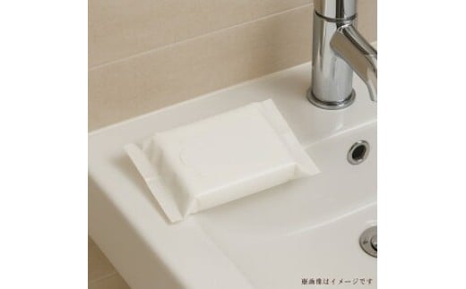 【ふるさと納税】洗顔シート（ビタミンC誘導体）（30枚）×30個