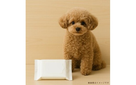 【ふるさと納税】フリフリ　ペット用純水99％使用ウェットティッシュ（80枚3個パック）×12個