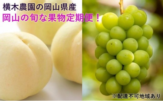 フルーツ 2026年 先行予約 岡山の旬な果物 定期便 ！ 白桃 （早生、中生種）約2kg 6～9玉 シャインマスカット 2房(約1.3kg) 贈答用 岡山県産  果物 ギフト 横木農園 果物類  [№5735-1638]