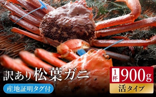 【訳あり】タグつき 活松葉ガニ900g前後
