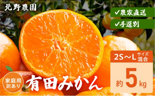 DZ6236_ 有田みかん 家庭用 訳あり サイズ 混合 おまかせ 2S ～ L 約 5kg みかん 柑橘 フルーツ 果物 果実 果汁 デザート 深み 濃厚 国産 北野農園 お取り寄せ 和歌山県 湯浅町 送料無料
