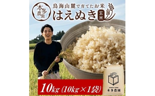 令和7年産【玄米】はえぬき　10kg(10kg×1袋) 農家直送 HO SC0634 2356581 - 山形県酒田市