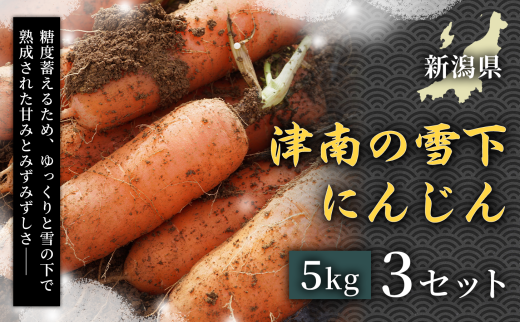 【令和8年産先行予約】【フルーツのような甘さ】津南の雪下にんじん 5kg 3セット 産地直送 高級野菜 自然の甘み フルーツにんじん 子どもが喜ぶ  旬の味覚 離乳食におすすめ 夏野菜 健康野菜 栄養満点 美容 カロテン豊富 免疫力アップ ご当地グルメ 安心安全 品質保証 リピート ランキング 2403616 - 新潟県津南町