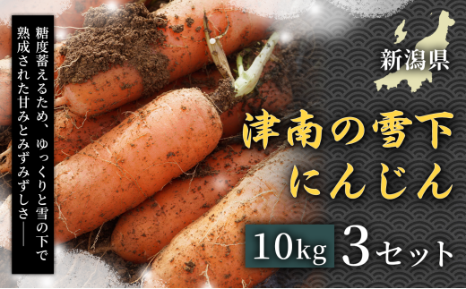 【令和8年産先行予約】【フルーツのような甘さ】津南の雪下にんじん 10kg 3セット 産地直送 高級野菜 自然の甘み フルーツにんじん 子どもが喜ぶ  旬の味覚 離乳食におすすめ 夏野菜 健康野菜 栄養満点 美容 カロテン豊富 免疫力アップ ご当地グルメ 安心安全 品質保証 リピート ランキング