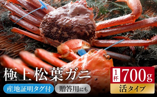 【kinosaki spa&gardens　湯楽使用】タグつき 活松葉ガニ　約700ｇ