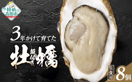 【4月前半発送】牡蠣 生食用 【 期間限定 】殻付き 牡蠣8個「3年育成」【 牡蠣 かき カキ 殻付き  生食 大粒  国産 真牡蠣 三陸産 広田湾  】 RT3254 2390714 - 岩手県陸前高田市