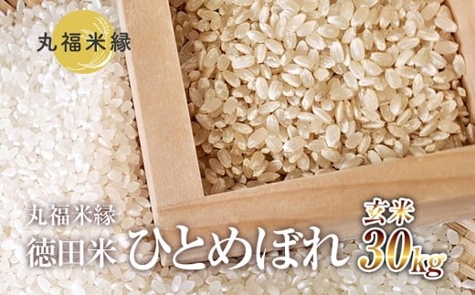 一口食べれば、もうひとめぼれ　徳田米　ひとめぼれ玄米　30kg