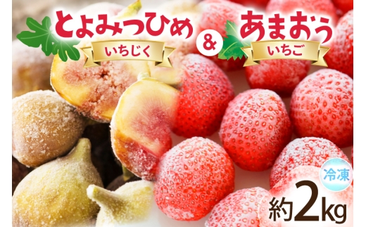 フルーツ 冷凍 あまおう ＆ 冷凍 よみつひめ セット 計約2kg [地域商社ふるさぽ 福岡県 宇美町 um40bfw220006] いちご いちじく 果物 イチゴ 苺 イチジク 無花果 くだもの ジャム シャーベット スムージー 詰め合わせ