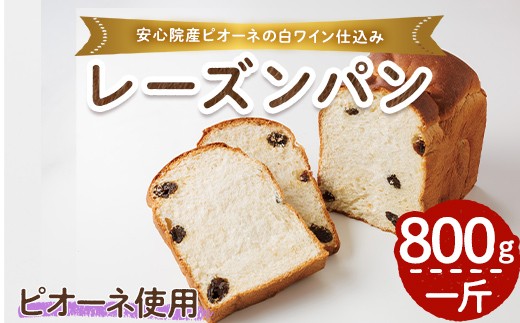 ピオーネ白ワイン仕込みパン(一斤・800g) パン 朝ごはん 朝食 おやつ レーズンパン 干しブドウ ピオーネ【118000100】【オーマイパン】