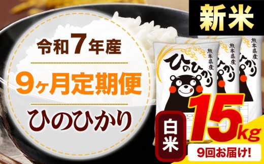 【9ヶ月定期便】新米 令和7年産 白米 ひのひかり 定期便 15kg《申込月の翌月から出荷開始》熊本県産 ふるさと納税 精米 ひの 米 こめ ふるさとのうぜい ヒノヒカリ コメ お米