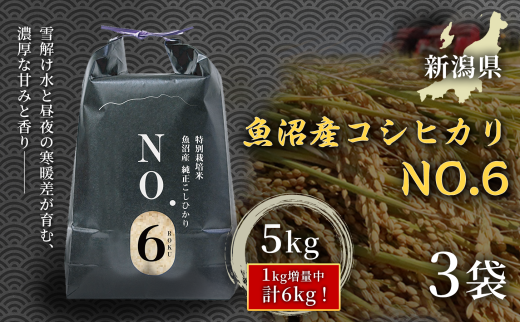 【一粒一粒に凝縮された甘みと粘りが特徴】 魚沼産コシヒカリNo.6（5kg）×3袋｜白米 おにぎり 日本 炊き込みご飯 手土産 上品 和食  贈答品 手土産 ギフト新潟県 津南町