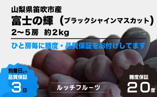 迫力のある大きな粒で、皮ごと食べられて、食感もよく大変に美味しいブドウです！
