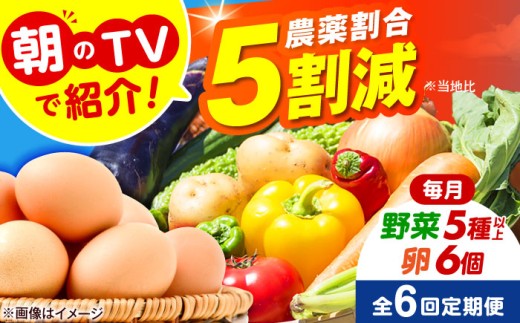 朝のTVで紹介 旬の野菜セット 新鮮野菜 産地直送 卵 たまご 平飼い卵 やさいセット 家庭用