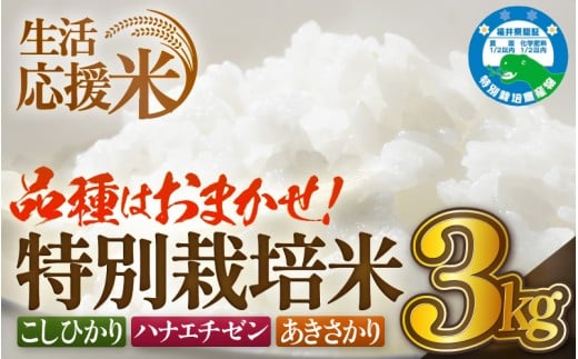 【生活応援米】令和7年産 米 特別栽培米 3kg 福井県越前町産 【選べる精米方法：白米/玄米】【お米 コメ kome 3キロ  家庭用 白米 玄米 農薬5割減】 [e81-a001]