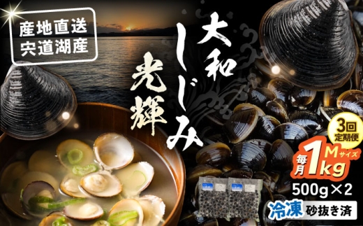 [全3回定期便]産地直送!宍道湖産 冷凍大和しじみMサイズ1kg(500g×2) 砂抜き処理済 島根県松江市/りすたむMatsue [ALDE019]