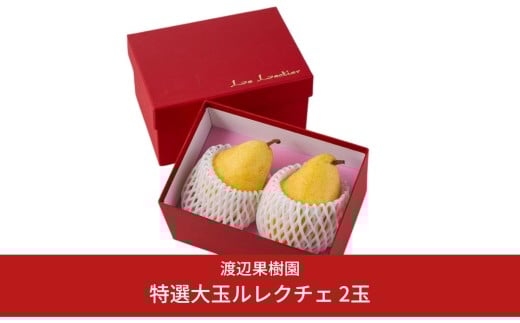 特選大玉ルレクチェ 2玉 令和7年度 贈答用 西洋梨 ル レクチエ 洋梨 化粧箱 洋ナシ ル・レクチェ [渡辺果樹園] 【010S239】
