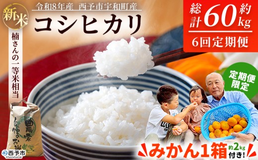 【先行予約】＼みかんもついてくる！／新米 ＜令和8年産 コシヒカリ 約10kg 6回定期便 ＋（定期便のみ）温州みかん2kg 西予市宇和町産＞ 白米 精米 楠さんの一等米相当 選べる 配送回数 お米 ご飯 愛媛県 西予市【常温】『2026年9月上旬から順次出荷予定』