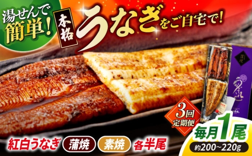 [3回定期便]うなぎ老舗専門店のパリっとふっくら 紅白うなぎ 蒲焼・素焼半身 (真空パック/秘伝のタレ・藻塩付き) 島根県松江市/株式会社山美世商会 [ALDC016]