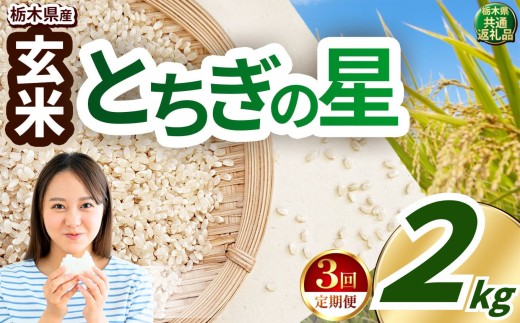 【定期便3回】いちご農家さん応援米！ 訳あり 令和7年度産 玄米 約2kg とちぎの星 |  真岡市産 米  お米 こめ 玄米 ご飯 ごはん とちぎの星 大粒 限定 ふるさと納税 先行 予約 栃木県 真岡市 送料無料  2397284 - 栃木県真岡市