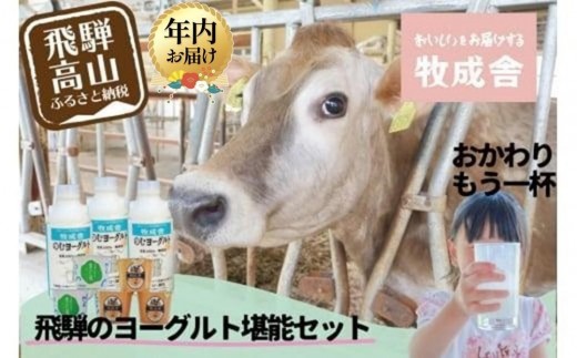 【寄附額見直しました！】【12月配送】『牧成舎』 飛騨のヨーグルト堪能セット （ヨーグルト2種 / 飲むヨーグルト1種）| 年内発送 ヨーグルト 食べ比べ 飲むヨーグルト 乳製品 セット 飛騨高山 牧成舎 DF011VC12 1641153 - 岐阜県高山市