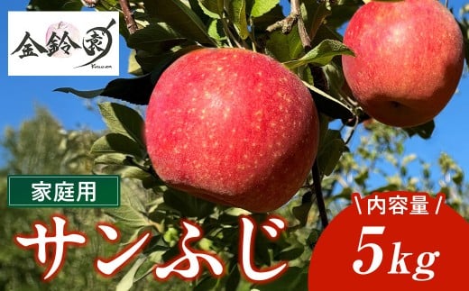 【 北上市産 りんご 】サンフジ 【 家庭用 】 5キロ (約13～20玉)  ＼12/24までの決済で 年内配送 可能／ 林檎 リンゴ サンふじ 5kg 国産 東北 岩手 産地直送 送料無料 フルーツ 果物 岩手県 北上市 C0171 金鈴園 季節限定 秋 冬 