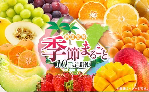 【10回定期便】旬 人気 フルーツ 南国宮崎産 マンゴー 金柑たまたま シャインマスカット ピオーネ いちご みかん 日向夏 メロン 柑橘 きんかん ぶどう 果物 詰め合わせ 宮崎県 九州＜E-3コース M700＞