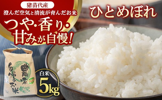 令和7年度産 ひとめぼれ 5kg ｜ 白米 内野ファーム直送 猪苗代の清らかな水で育った 自慢の ひとめぼれ ※沖縄・離島への配送不可 2396646 - 福島県猪苗代町