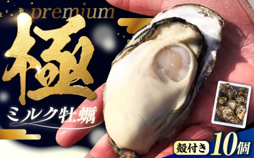 【2月5日（木）発送】江田島ミルク牡蠣 殻付き 10個 加熱用 かき 広島県産 カキ 貝付き牡蠣 海鮮 贈呈用 BBQ 濃厚 新鮮 蒸し牡蠣 焼き牡蠣 グリル焼き 丸杉水産/江田島市 [XCY001] 牡蠣 冷凍 むき身 殻付き 殻付 殻 かき カキ 生牡蠣 広島牡蠣 オイスター カキフライ 魚介類 魚介 貝類 海鮮 広島県産 国産 産地直送 贈答 ギフト 特産品 2211126 - 広島県江田島市