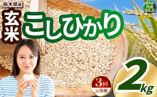 【定期便3回】いちご農家さん応援米！ 訳あり 令和7年度産 玄米 約2kg こしひかり |  真岡市産 米  お米 こめ 玄米 ご飯 ごはん もちもち コシヒカリ 限定 ふるさと納税 先行 予約 栃木県 真岡市 送料無料  2397278 - 栃木県真岡市